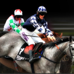 free horse racing bet calculator